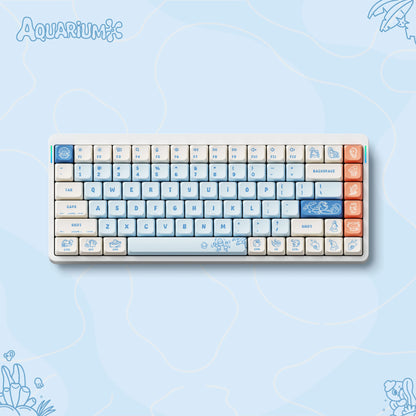 NuPhy x Riel Aquarium nSAプロファイルキーキャップ