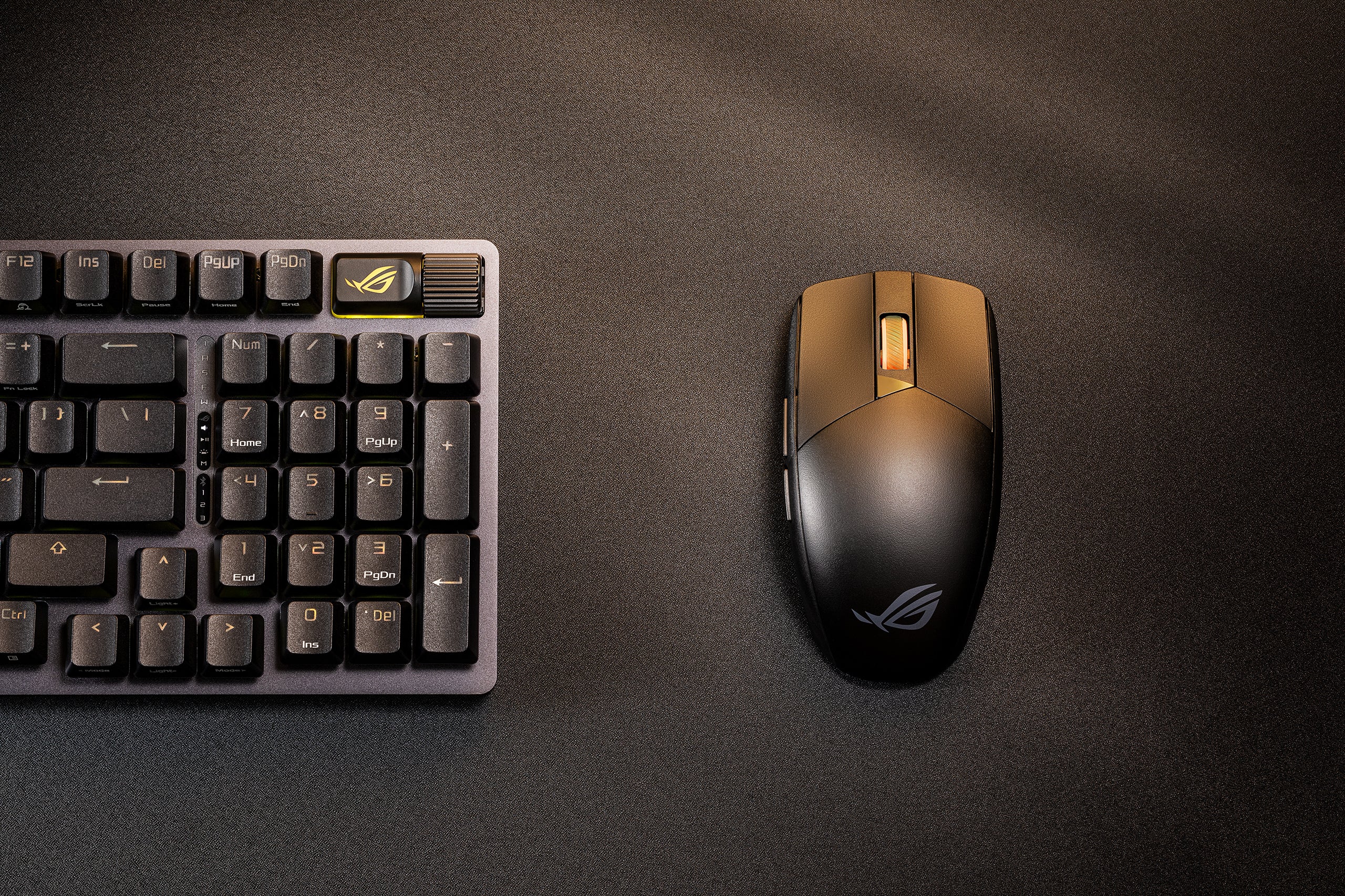 動画を読み込む: 