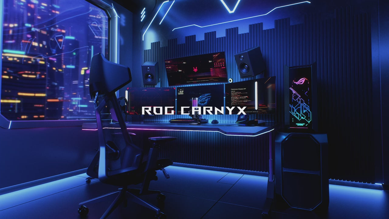 動画を読み込む: 